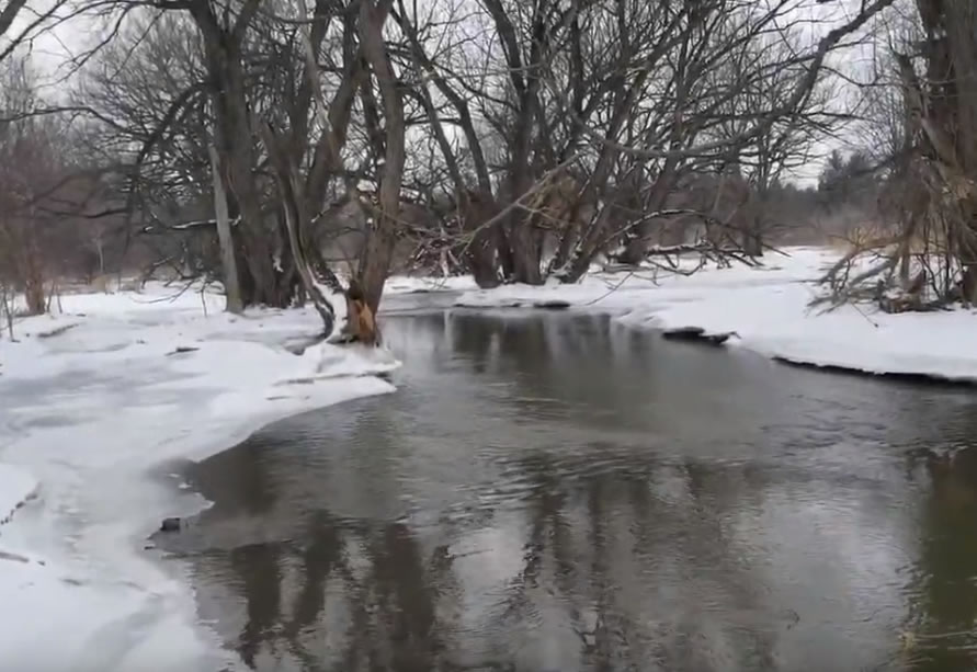 Medway Creek - March 2019